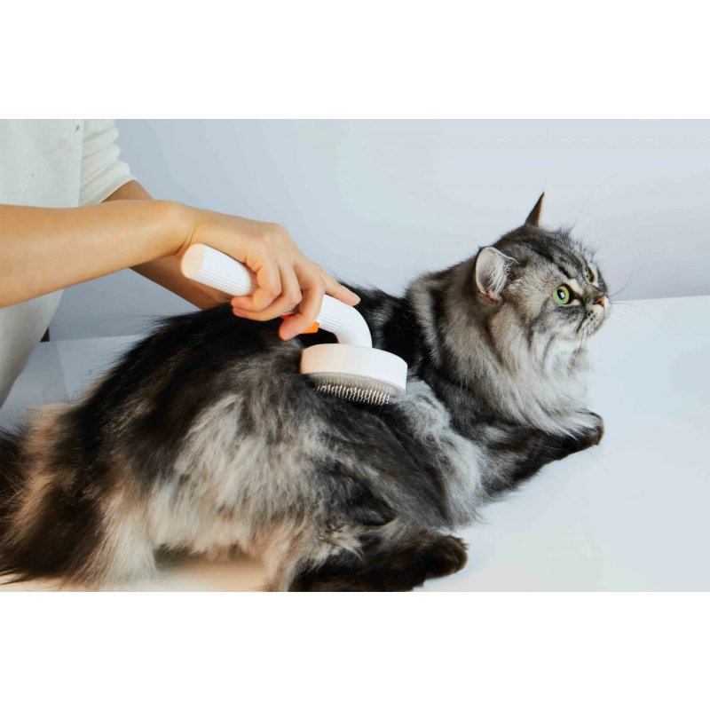 Daraq Petkit Pet Grooming Brush2